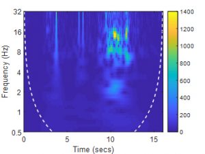 wavelet